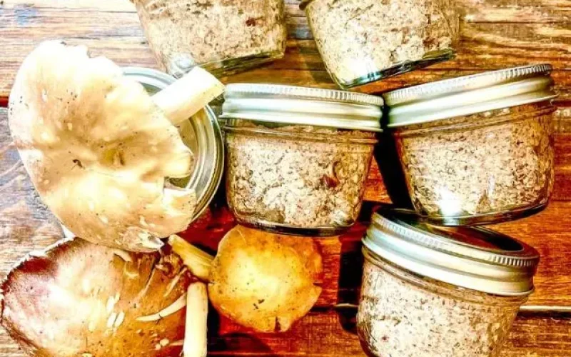 cuisiner-champignon-entre-au-dessert