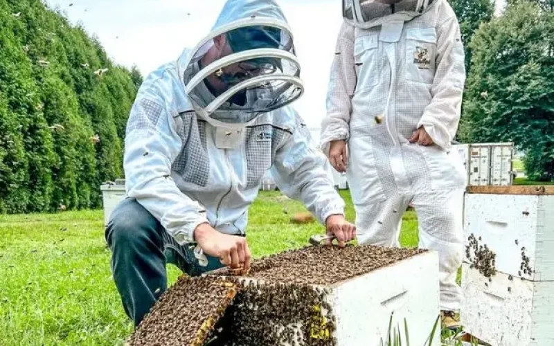 introduction-apiculture